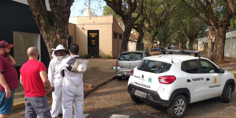 Abelhas atacam pedestres e comerciantes em cidade da região