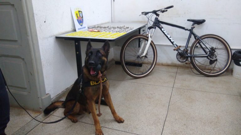 Homem com passagem por homicídio e estelionato é preso por tráfico de drogas na zona Norte