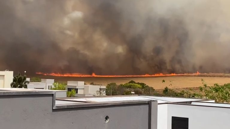 Em 4 meses, queimadas consomem 700 campos de futebol em Ribeirão
