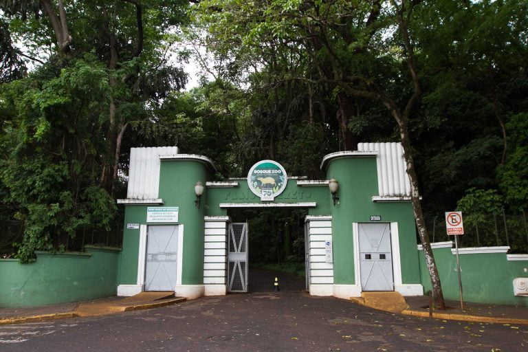 Bosque Fábio Barreto acolhe animais silvestres atingidos pelas queimadas