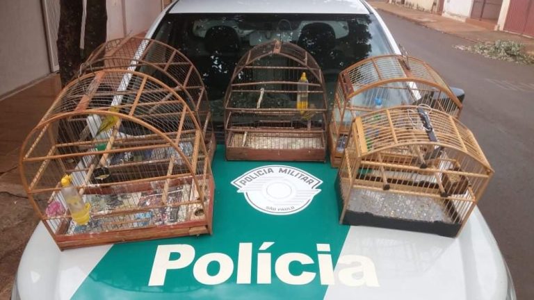 Operação da Polícia Ambiental multa dois infratores por manter aves em cativeiro na região