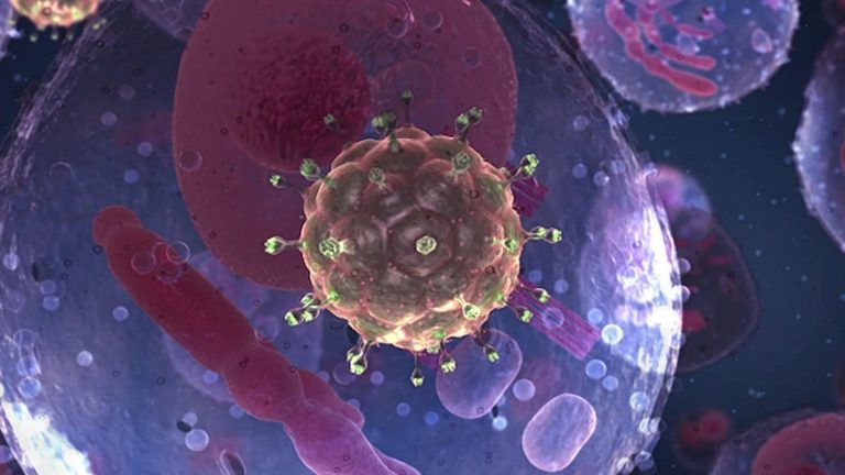 Pesquisa da USP de Ribeirão descobre  ‘calcanhar de aquiles’ do vírus HIV e abre caminho para novo medicamento