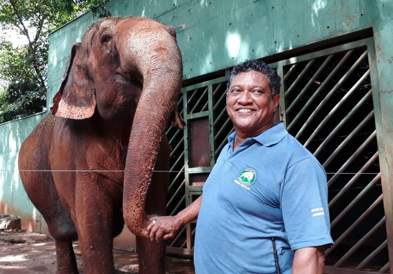 Elefanta Bambi deixa Ribeirão Preto e viagem ao santuário deve durar 35 horas