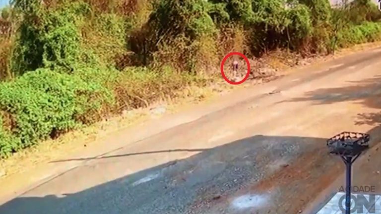 Vídeo | Câmera de segurança flagra homem ateando fogo em mata na zona Leste de Ribeirão