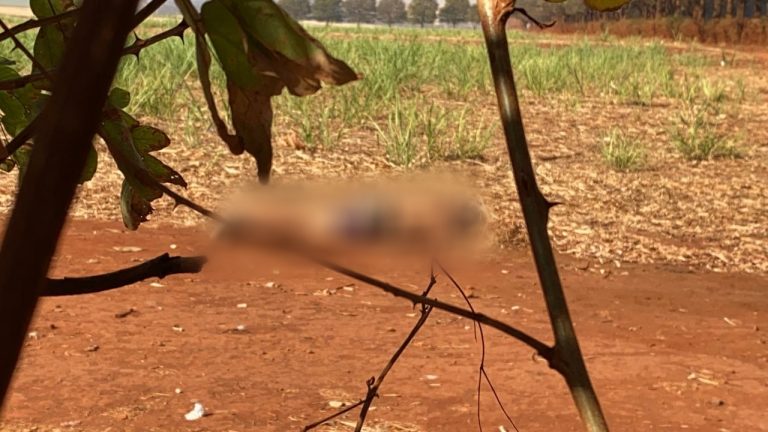 Corpo encontrado na área rural de Cravinhos é identificado