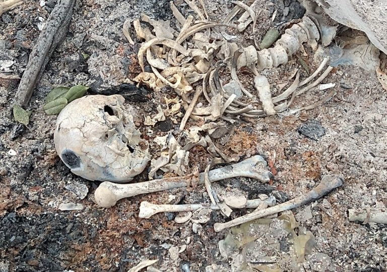 Ossada humana encontrada em área queimada no distrito empresarial de Ribeirão Preto