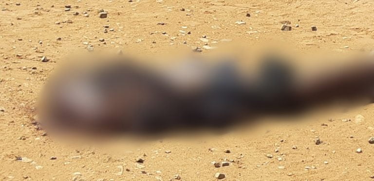 Corpo de homem decapitado é localizado na área rural de São Carlos