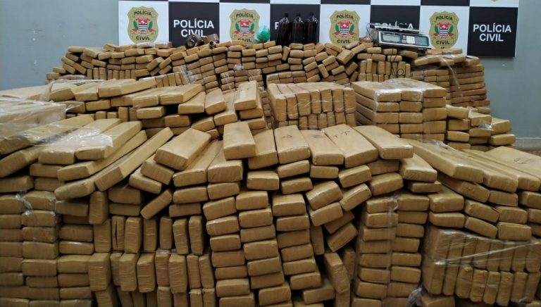 Quantidade de drogas apreendidas cresce 28,57% na região de Ribeirão Preto