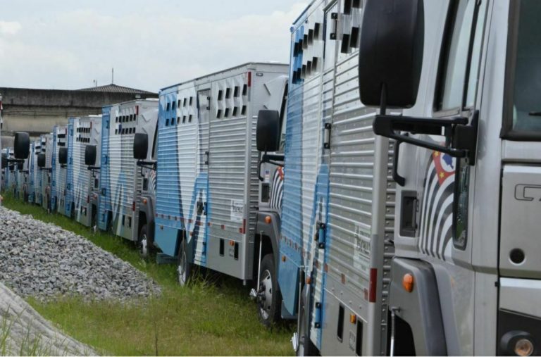 Teleaudiências de presos geram economia de mais de R$ 437 mil