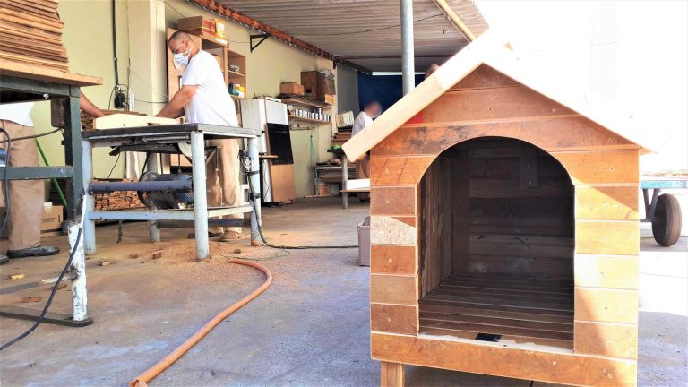 Presos da região produzem casinhas para cães abandonados