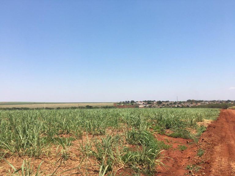 Homem de 42 anos fica ferido ao cair de paramotor na região de Ribeirão Preto