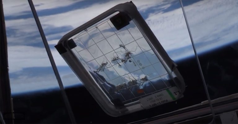 Ex-aluno da USP de Ribeirão Preto ajuda a Nasa a descobrir defeito que afeta saúde de astronautas