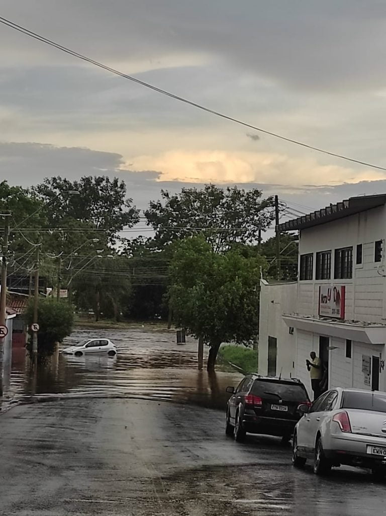 Vídeo | Temporal causa alagamentos e transforma avenida em rio em Ribeirão