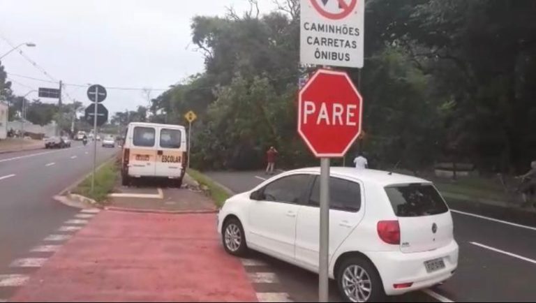 Vídeo | Queda de árvore causa transtorno aos motoristas após bloquear via no bairro Ribeirão Verde