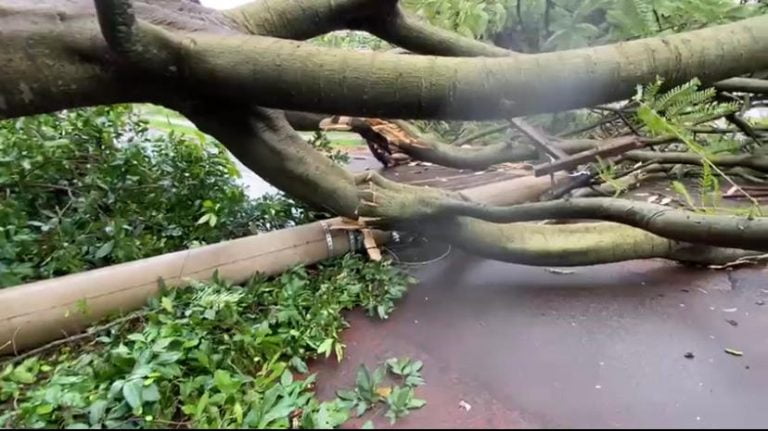 Chuva derruba dois postes e moradores passam a madrugada sem energia no Jardim Botânico