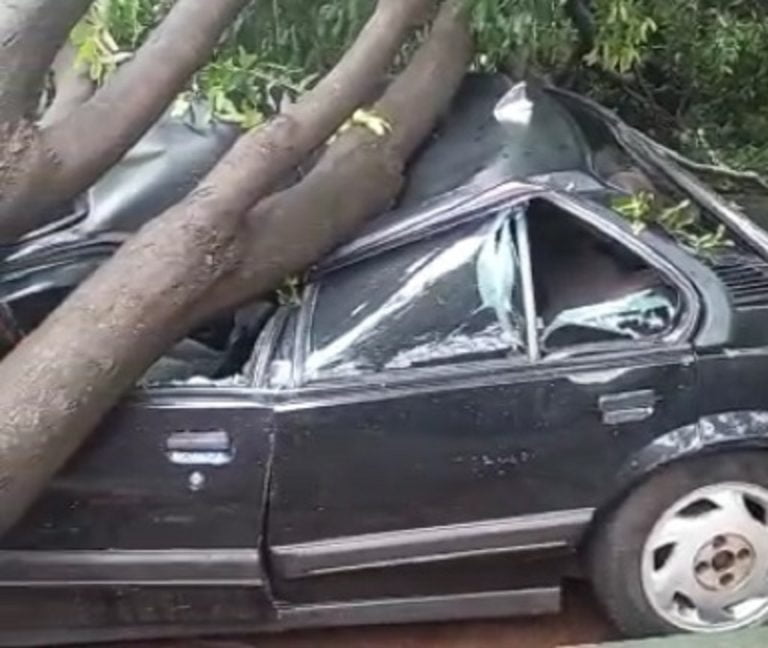 Vídeos | Carro fica detonado, escola tem muro destruído e ruas são interditadas por conta da queda de árvores em RP