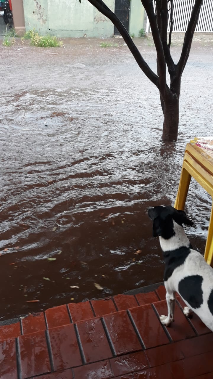 Vídeos | Após dilúvio, Ribeirão tem previsão de tempestade nesta terça