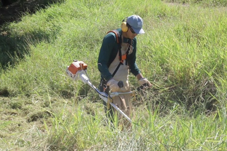 Prefeitura dá prazo para donos limparem terrenos e promete punir quem não cumprir