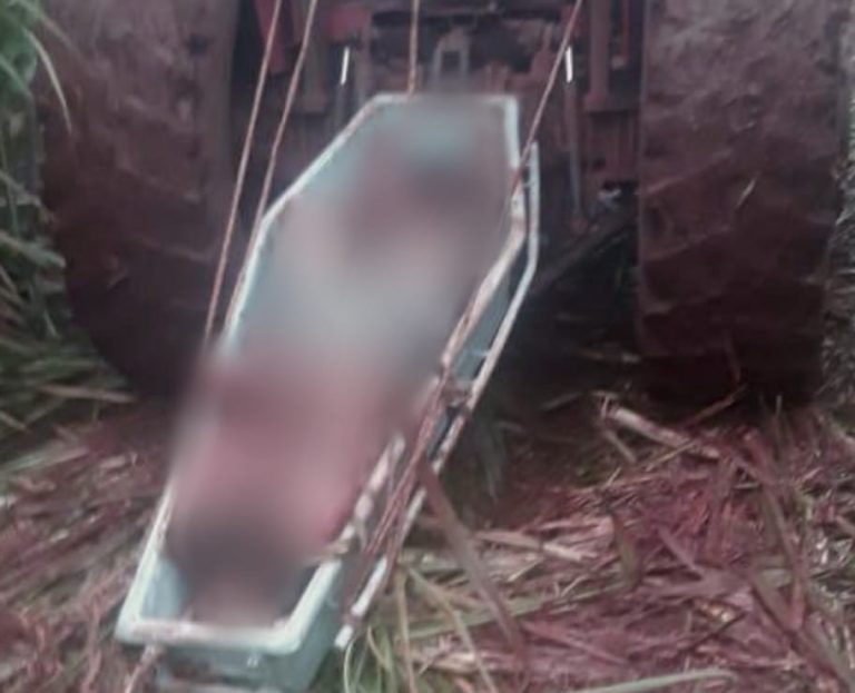 Corpos de homens encontrados no canavial são reconhecidos por familiares