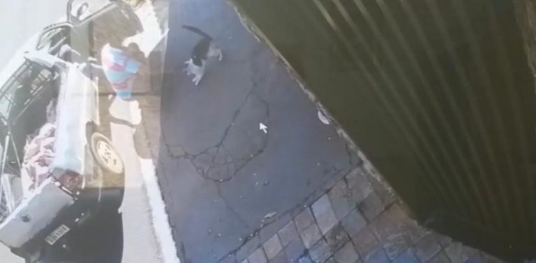 Vídeo | Idosa é assaltada por três criminosos no bairro Parque das Andorinhas