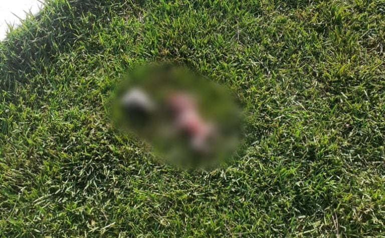 Imagens fortes | Feto é encontrado próximo a rede de esgoto em Cruz das Posses