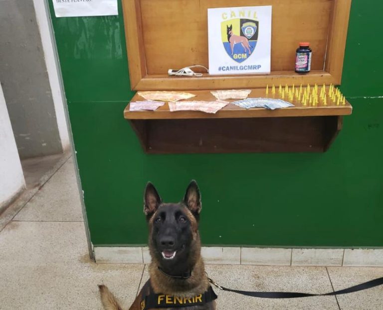 Menor é flagrado com R$ 671 e 27 pinos de cocaína na zona Leste de Ribeirão Preto