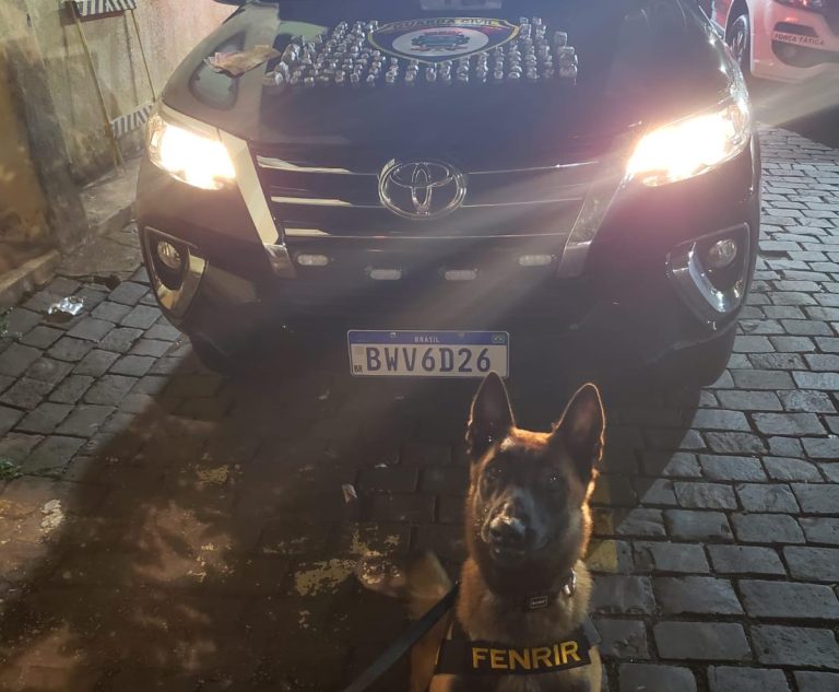 Menor de 15 anos é flagrado com 128 pedaços de maconha e R$ 145 na zona Norte de Ribeirão Preto