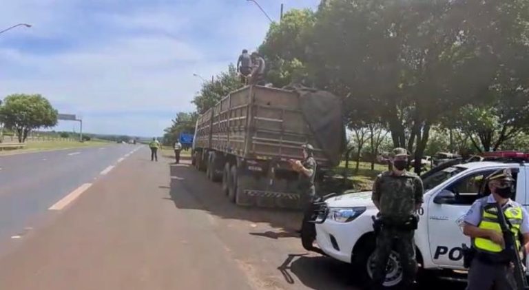 Vídeo | Carreta com madeira ilegal é apreendida em Operação na região