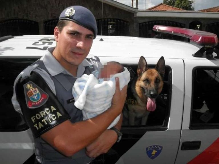 Policial morre ao ser baleado por criminoso durante tentativa de assalto na região