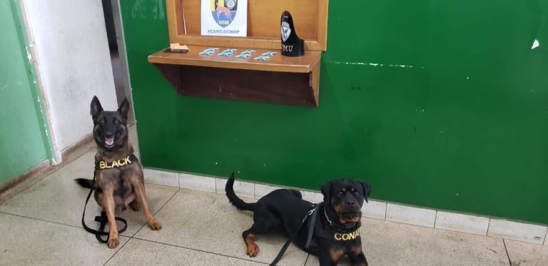 Traficante tenta se esconder em matagal mas é detido pela GCM na zona Norte de Ribeirão Preto