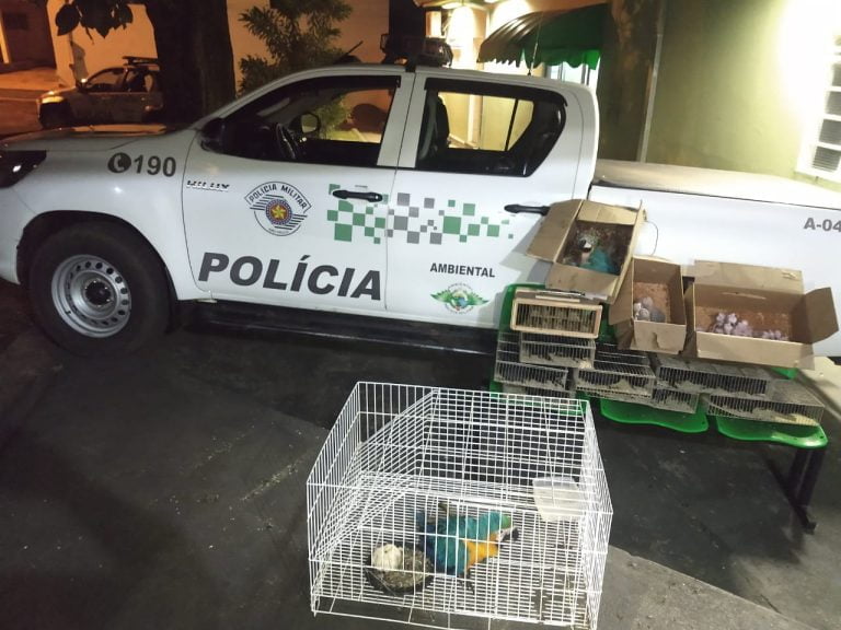 Motorista de aplicativo recebe multa de quase R$1 milhão por transportar animais silvestres em Araraquara