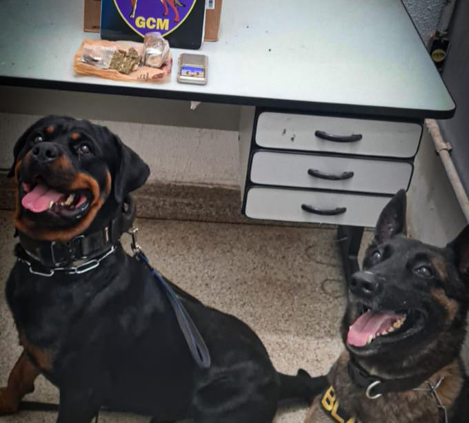 Traficante é detido pela GCM na zona Oeste de Ribeirão