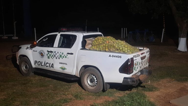 Homem é flagrado em tentativa de furto de  quase uma tonelada de laranjas