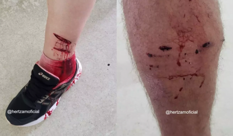 Cachorro é morto a tiro por PM após avançar em moradores no centro de Franca