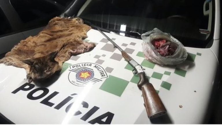 Homem é preso por caçar animal em risco de extinção e porte ilegal de arma