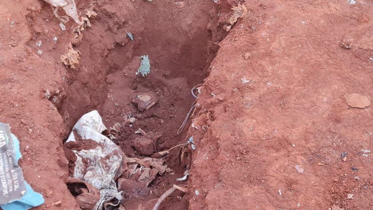 Corpo de homem é encontrado enterrado no Parque Ribeirão