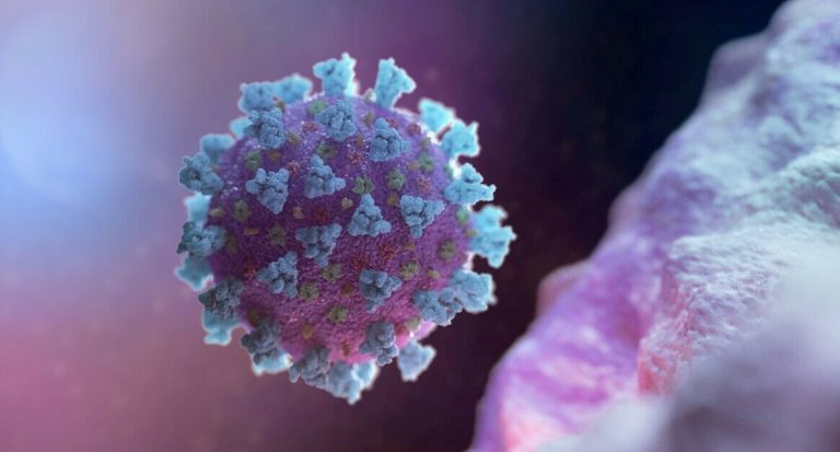 OMS emite alerta para nova variante do novo coronavírus