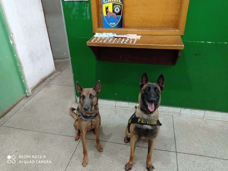 Homem é preso em flagrante por venda de drogas em Ribeirão