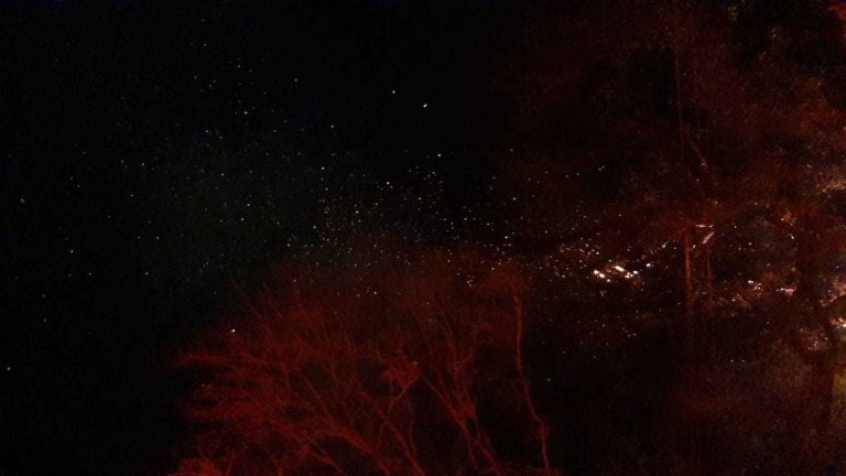 Incêndio em árvore provoca interdição em avenida no centro de Ribeirão