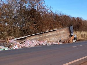 Caminhão perde o controle e tomba em rodovia de Pradópolis