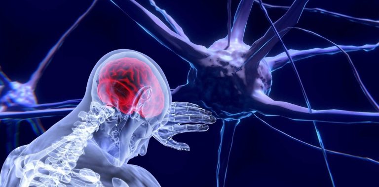 USP oferece curso gratuito sobre neurociência para professores do ensino básico