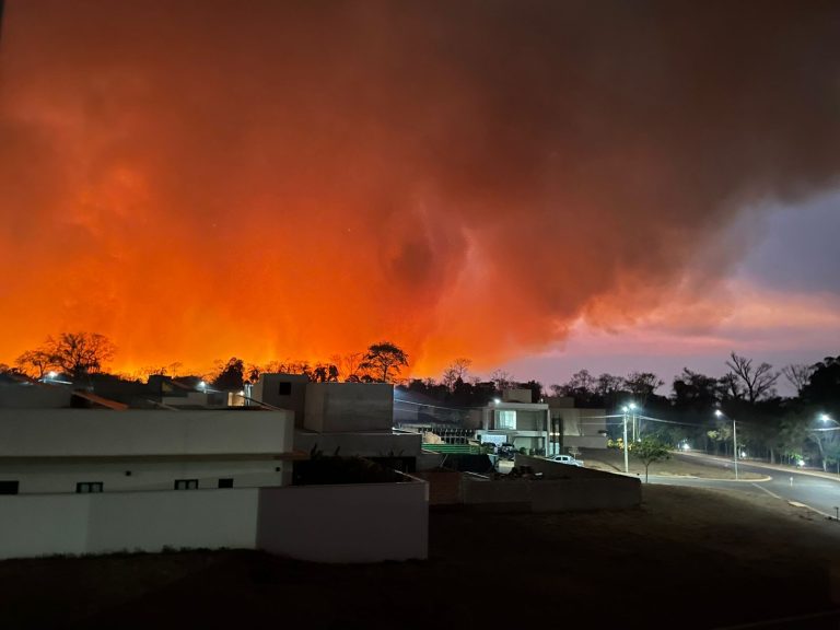 Vídeo | Região de Ribeirão Preto anoitece em chamas