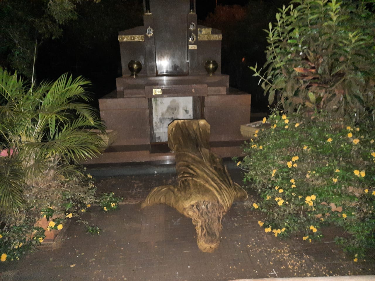 WhatsApp Image 2021-09-07 at 08.45.59