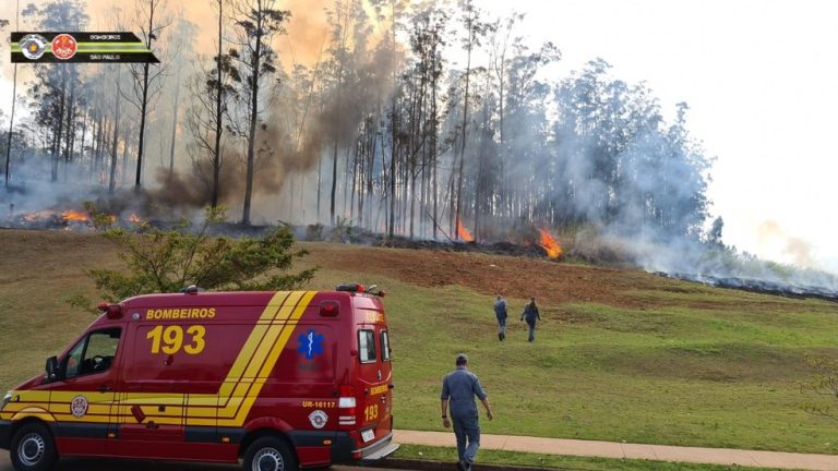 Vídeo | Queda de avião mata sete pessoas em Piracicaba