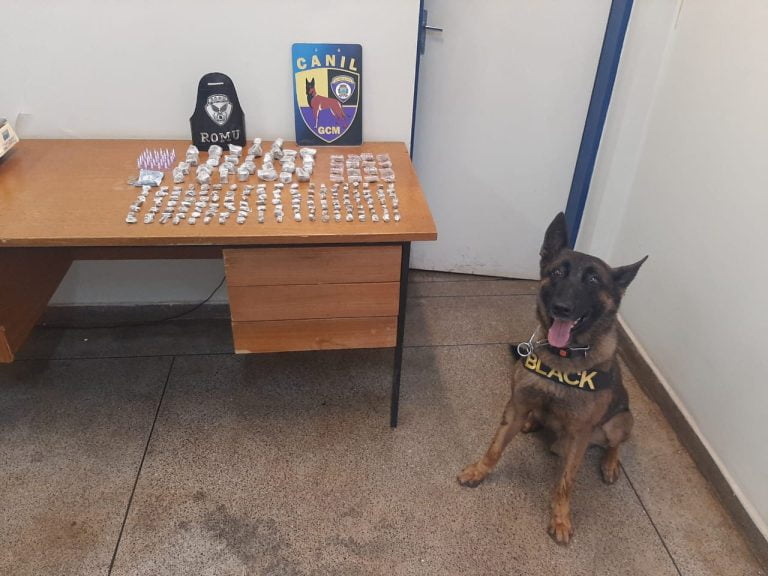 Cachorro da Guarda Civil Metropolitana localiza entorpecentes na Praça Antônio Duarte Nogueira, em Ribeirão