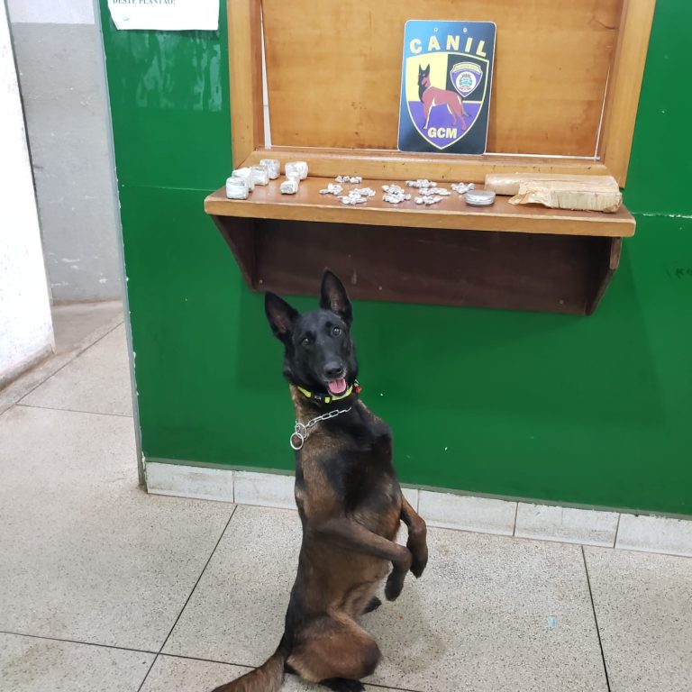 GCM apreende drogas em barrancos próximos a linha férrea