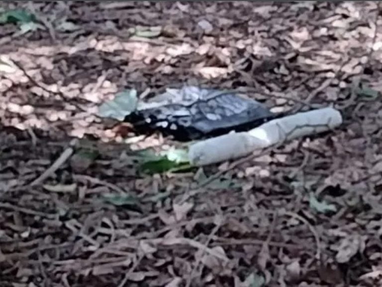 Dinamite é encontrada em condomínio de ranchos de Araçatuba