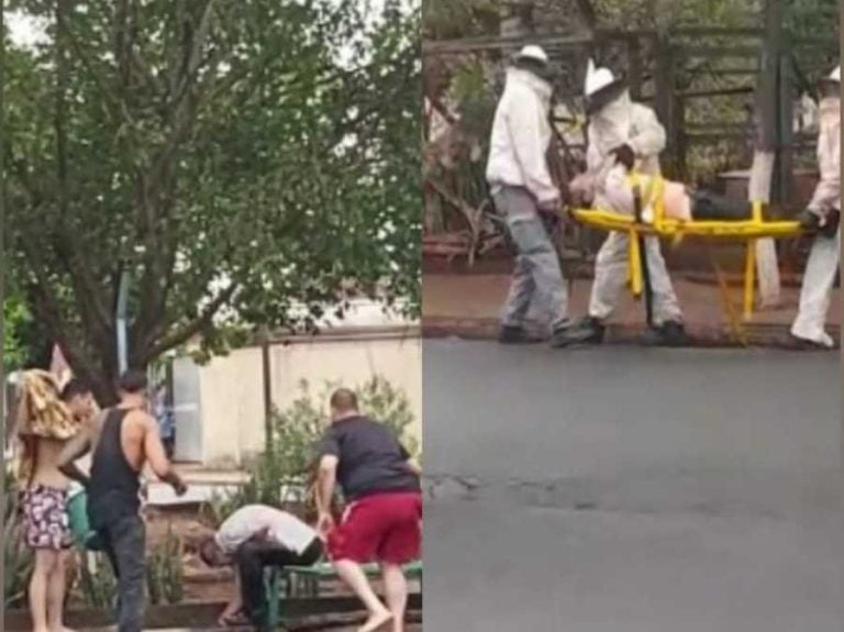 Vídeo | Idoso é atacado por abelhas em Ribeirão