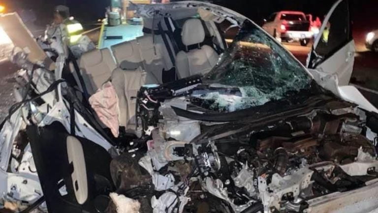 Cantora fica ferida após colidir com caminhão em Américo Brasiliense