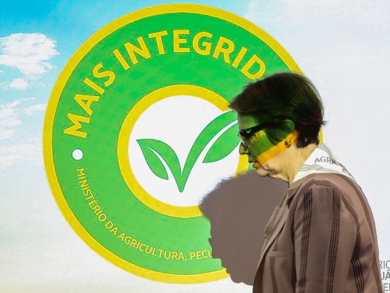 Veja como se inscrever nos cursos de desenho gratuitos